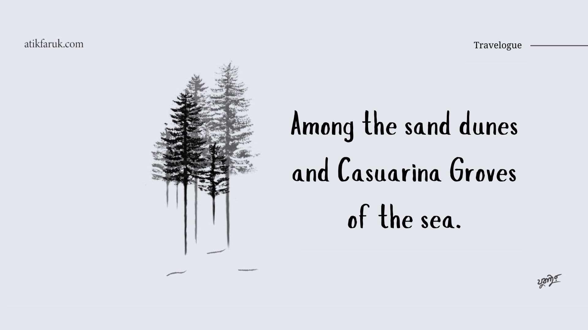 Among the sand dunes and casuarina groves of the sea.